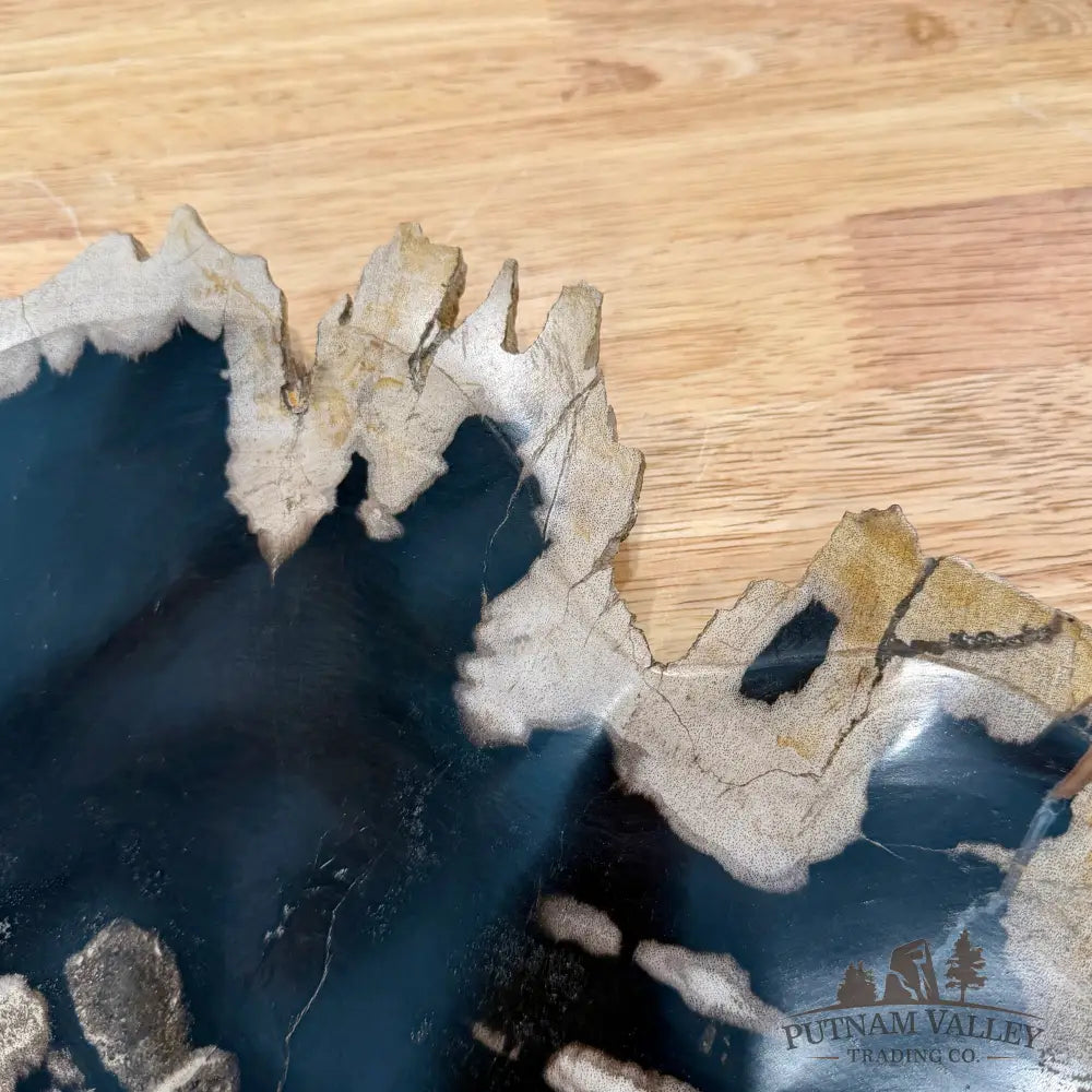 Indonesian Petrified Wood Rustic Plate 15.5’’ - Plate