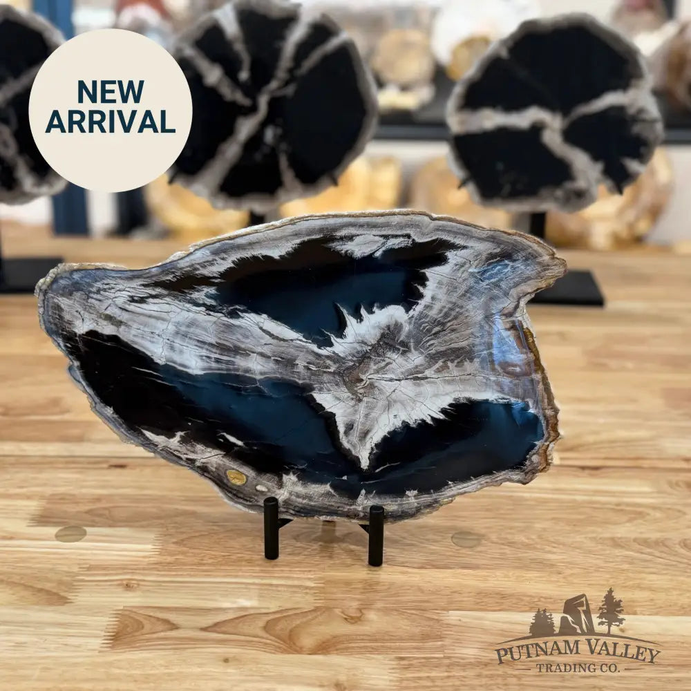 Indonesian Petrified Wood Rustic Plate Plate