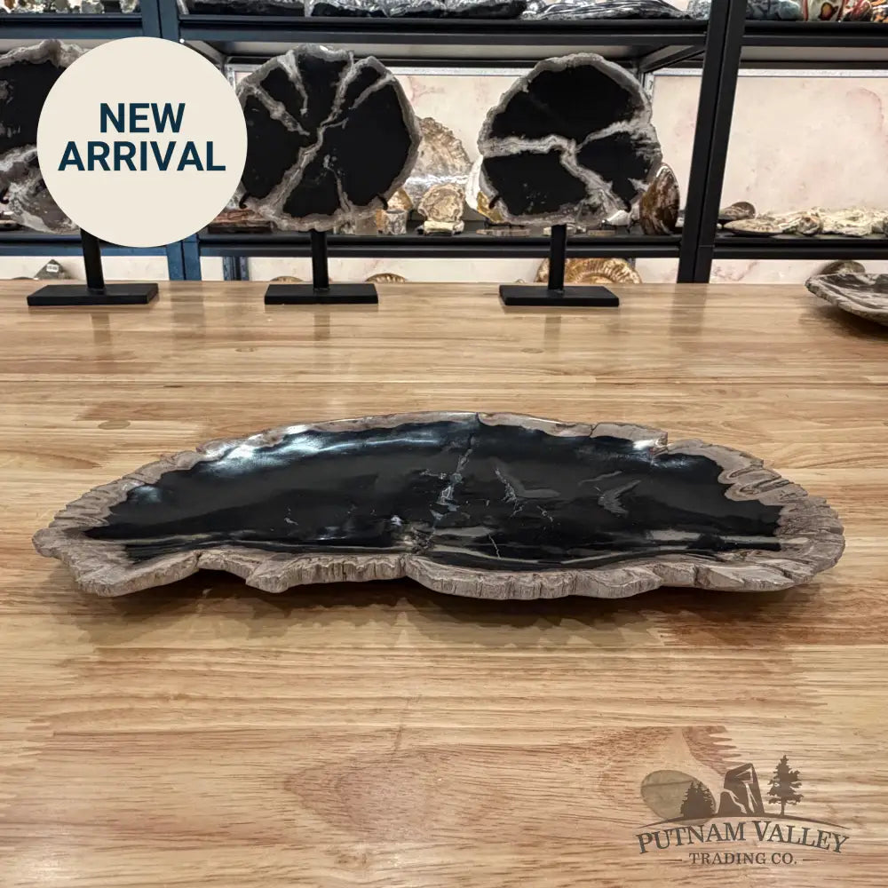 Indonesian Petrified Wood Rustic Plate Plate