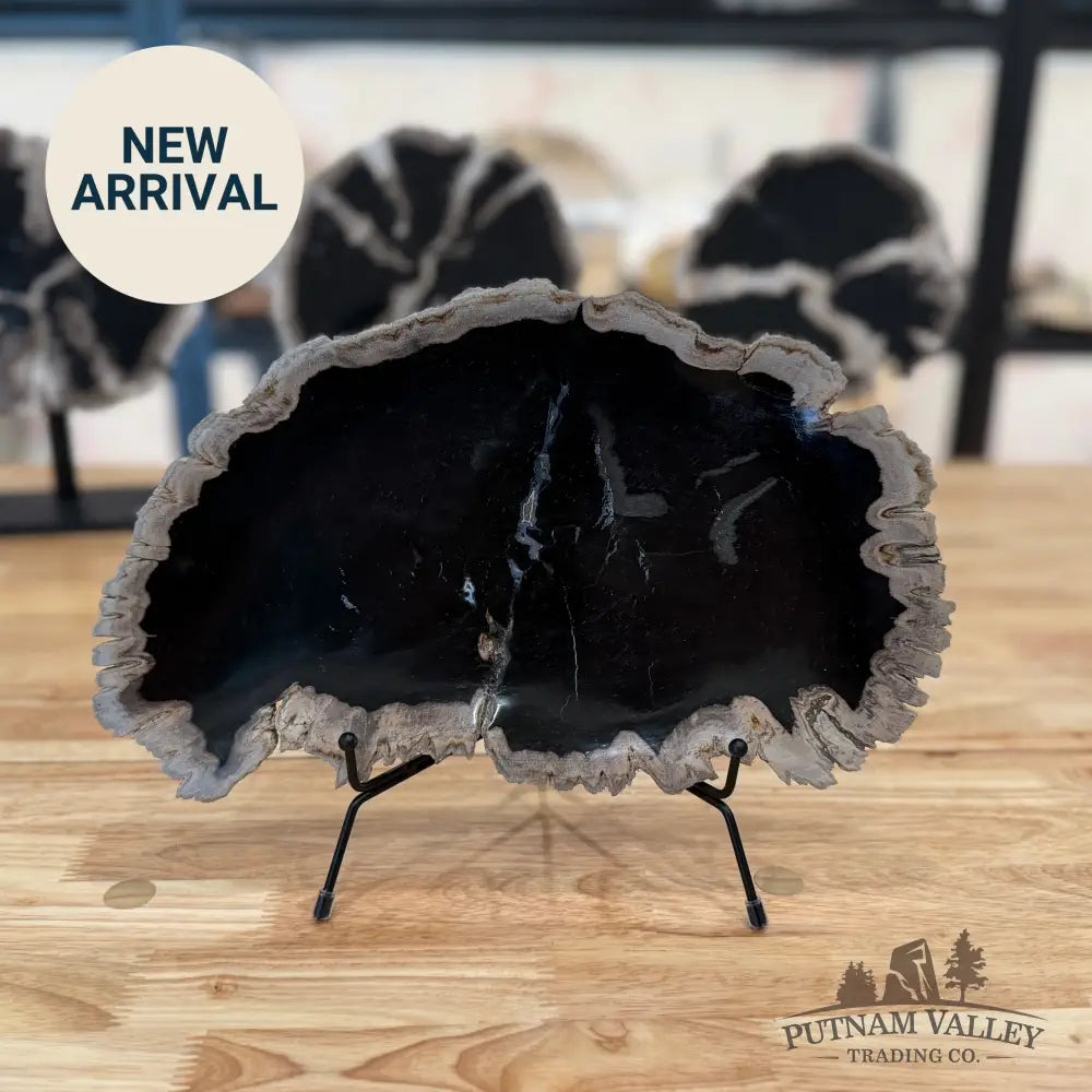 Indonesian Petrified Wood Rustic Plate Plate