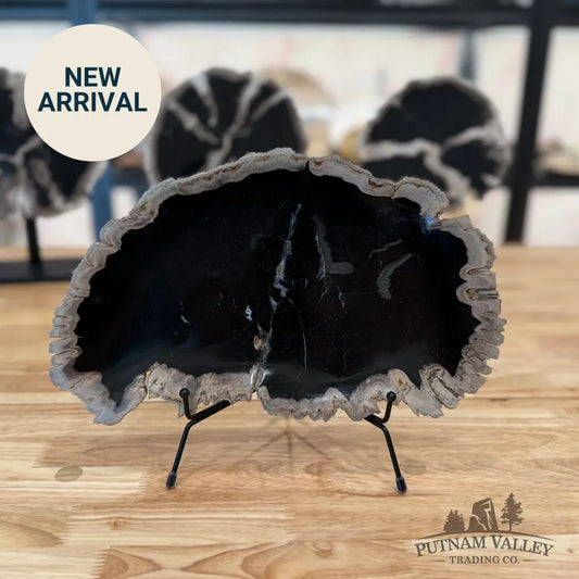 Indonesian Petrified Wood Rustic Plate Plate