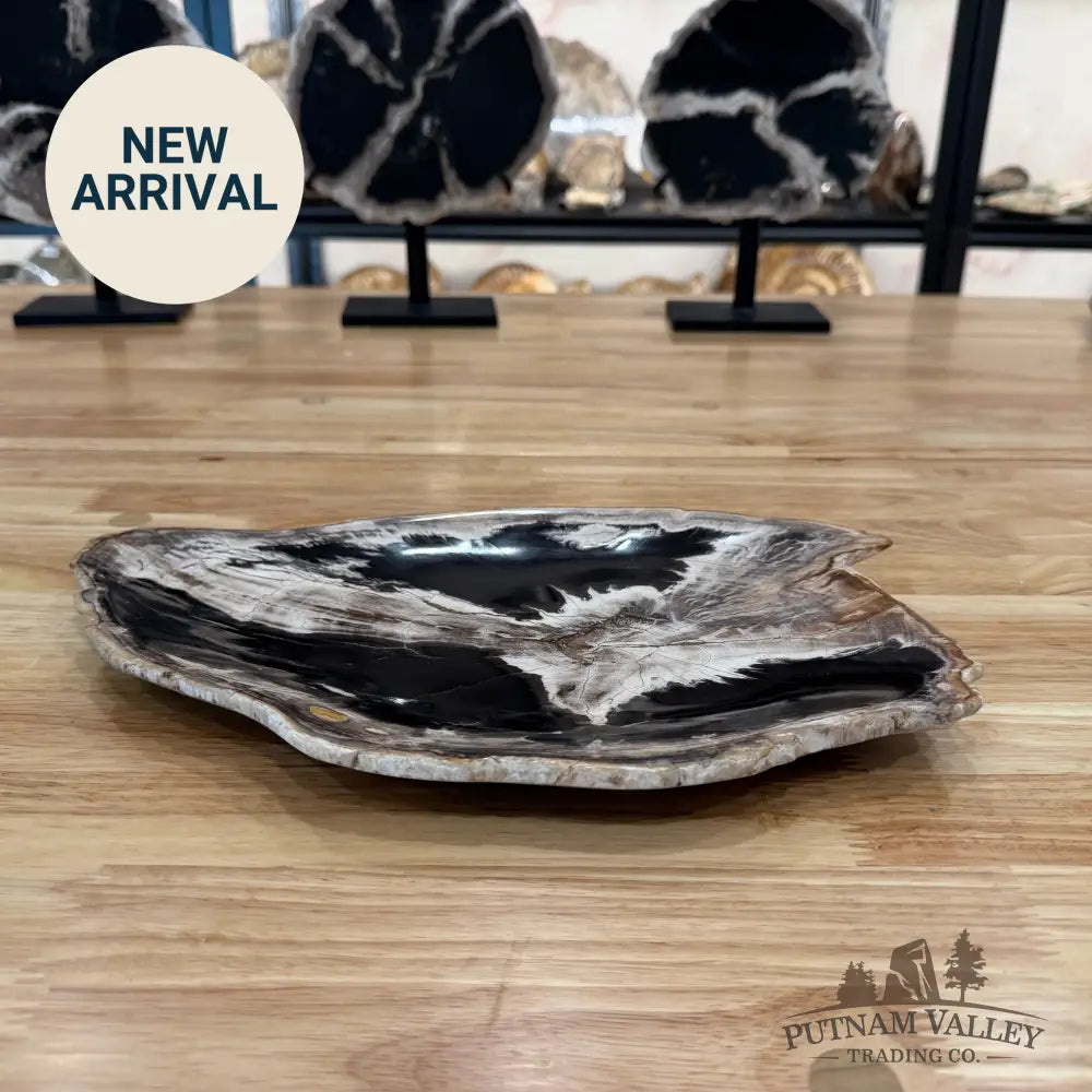 Indonesian Petrified Wood Rustic Plate Plate