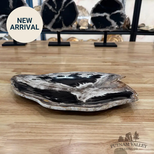 Indonesian Petrified Wood Rustic Plate Plate