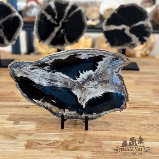 Indonesian Petrified Wood Rustic Plate Plate