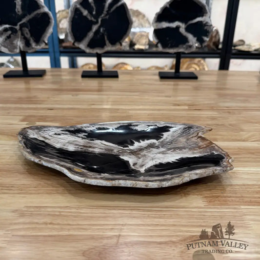 Indonesian Petrified Wood Rustic Plate Plate