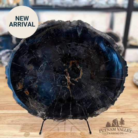 Indonesian Petrified Wood Rustic Serving Platter Plate