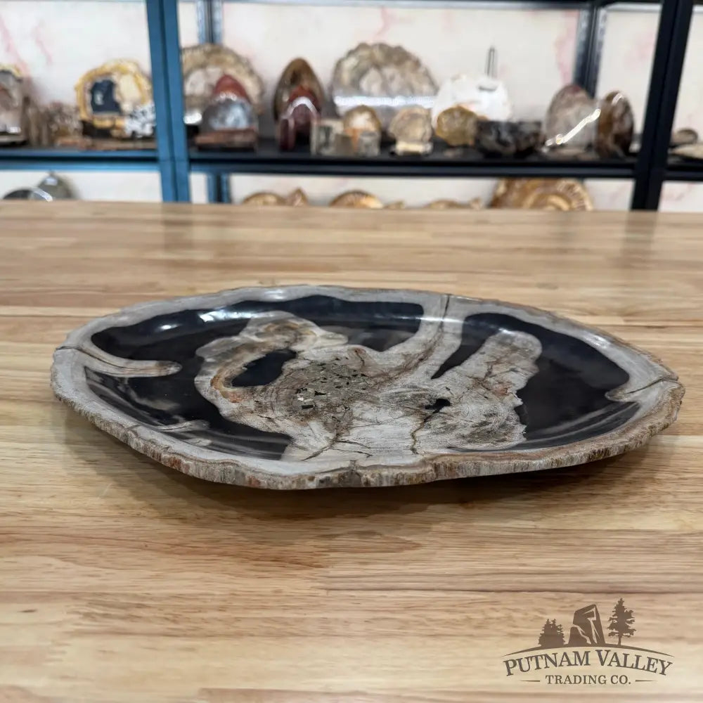 Indonesian Petrified Wood Rustic Serving Platter Plate
