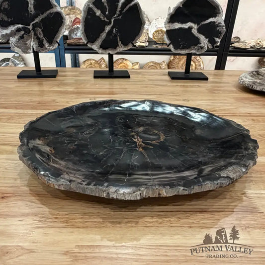 Indonesian Petrified Wood Rustic Serving Platter Plate