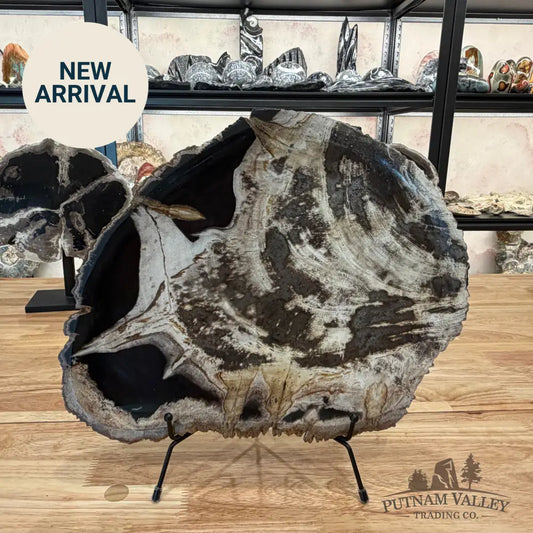 Indonesian Petrified Wood Rustic Serving Platter Plate