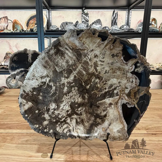 Indonesian Petrified Wood Rustic Serving Platter Plate