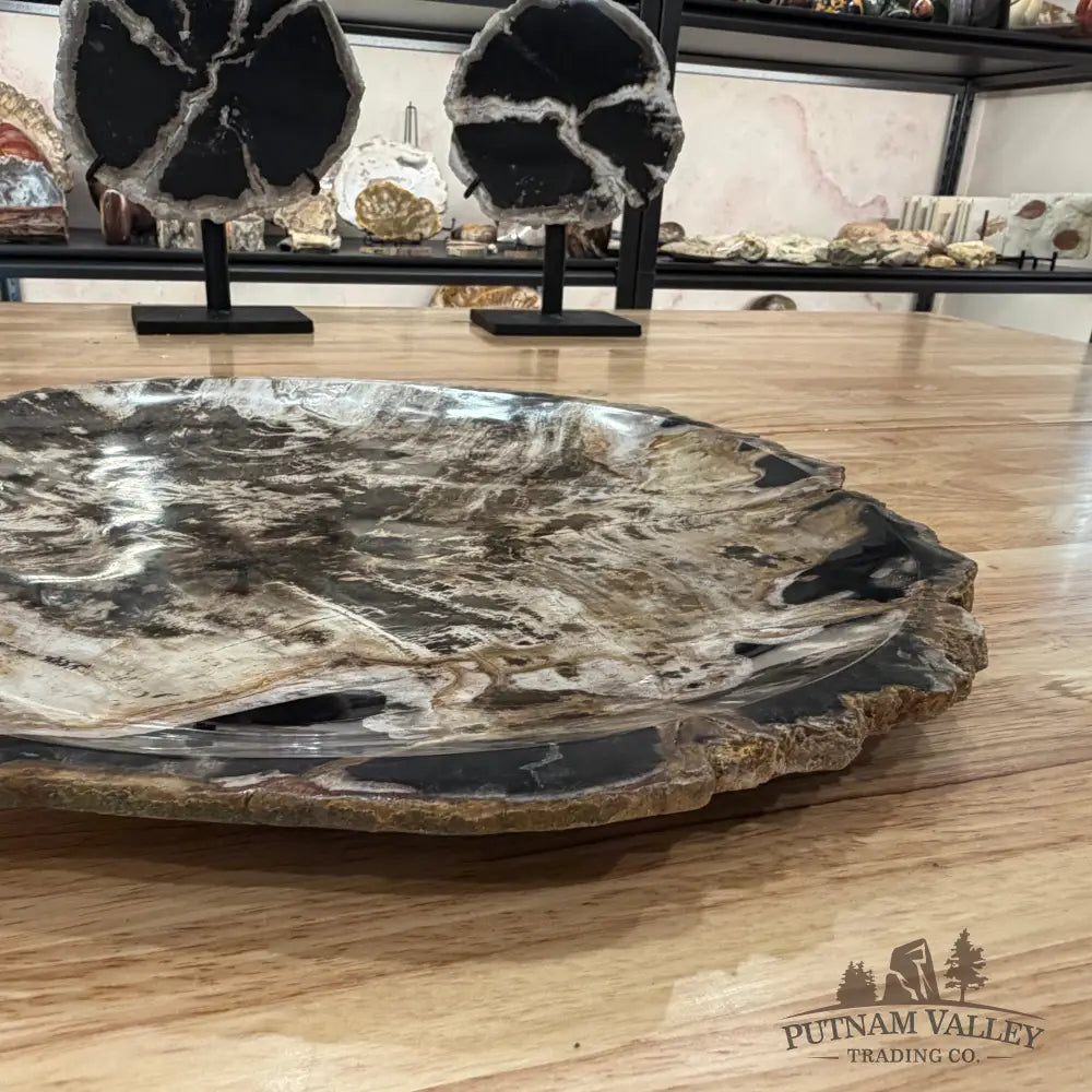 Indonesian Petrified Wood Rustic Serving Platter Plate