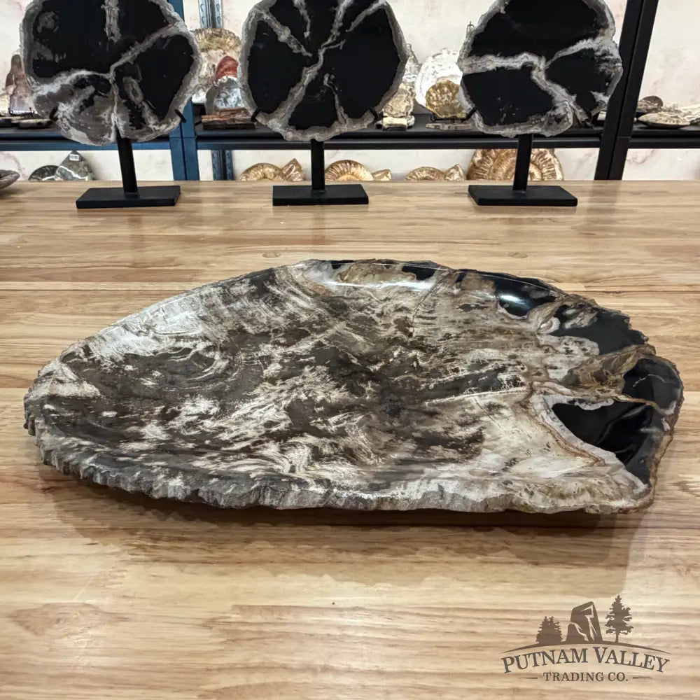 Indonesian Petrified Wood Rustic Serving Platter Plate