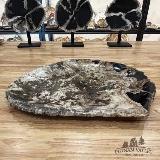 Indonesian Petrified Wood Rustic Serving Platter Plate