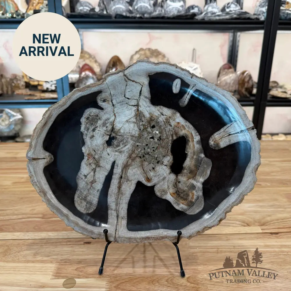 Indonesian Petrified Wood Rustic Serving Platter Plate