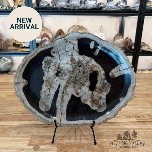 Indonesian Petrified Wood Rustic Serving Platter Plate