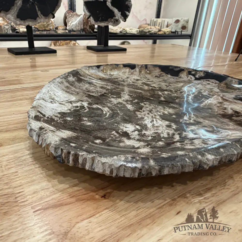Indonesian Petrified Wood Rustic Serving Platter Plate