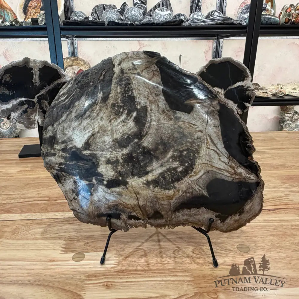 Indonesian Petrified Wood Rustic Serving Platter Plate