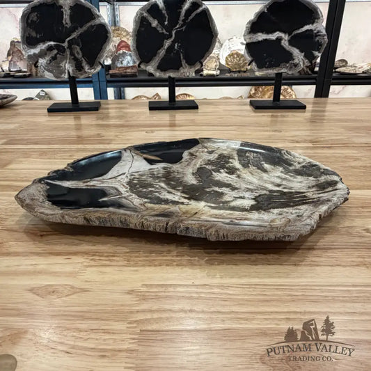 Indonesian Petrified Wood Rustic Serving Platter Plate