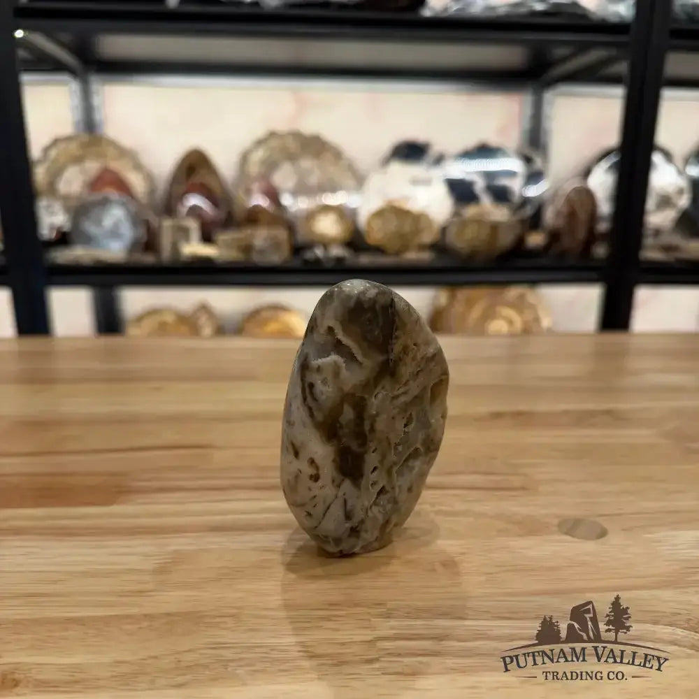 Indonesian Sphalerite Table Accent - Putnam Valley Trading Co.
