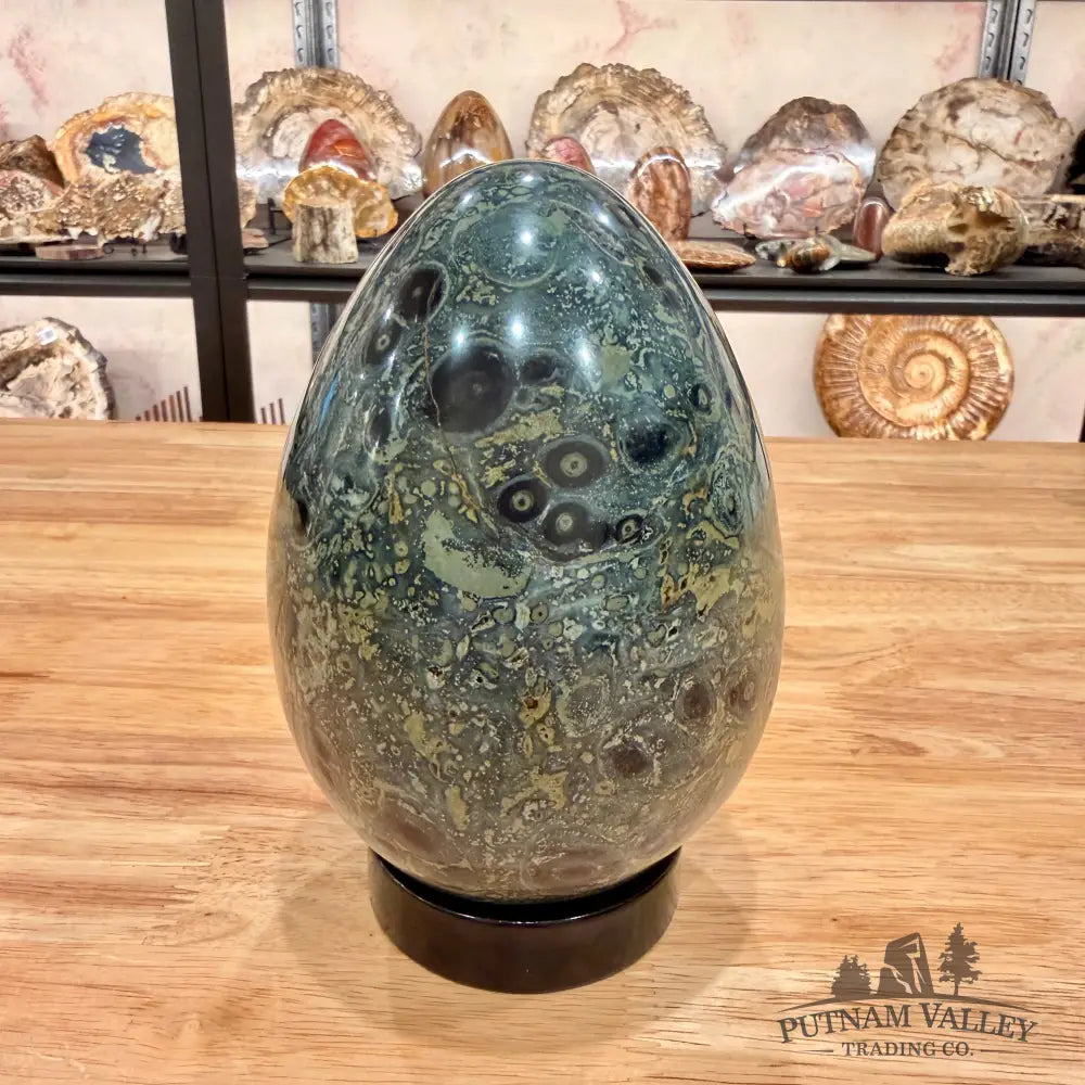 Kambaba Jasper Egg 6.14’’ Egg