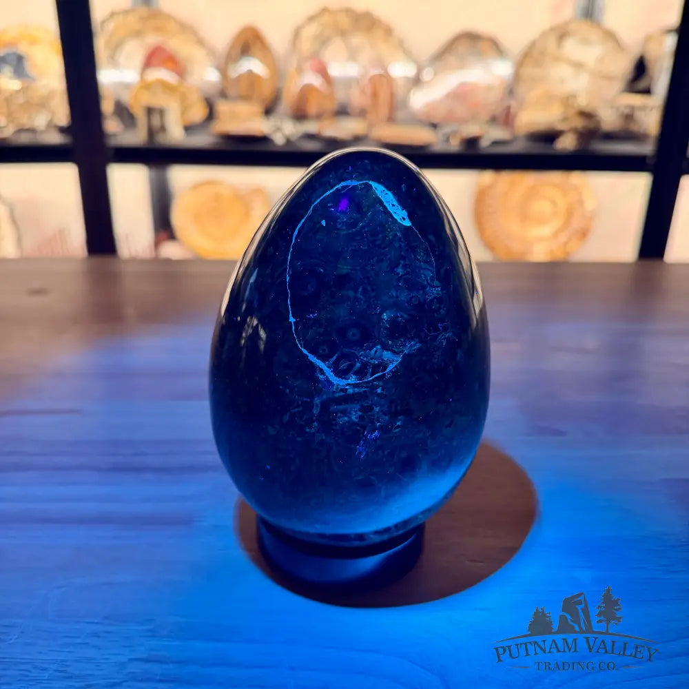 Kambaba Jasper Egg 6.14’’ Egg