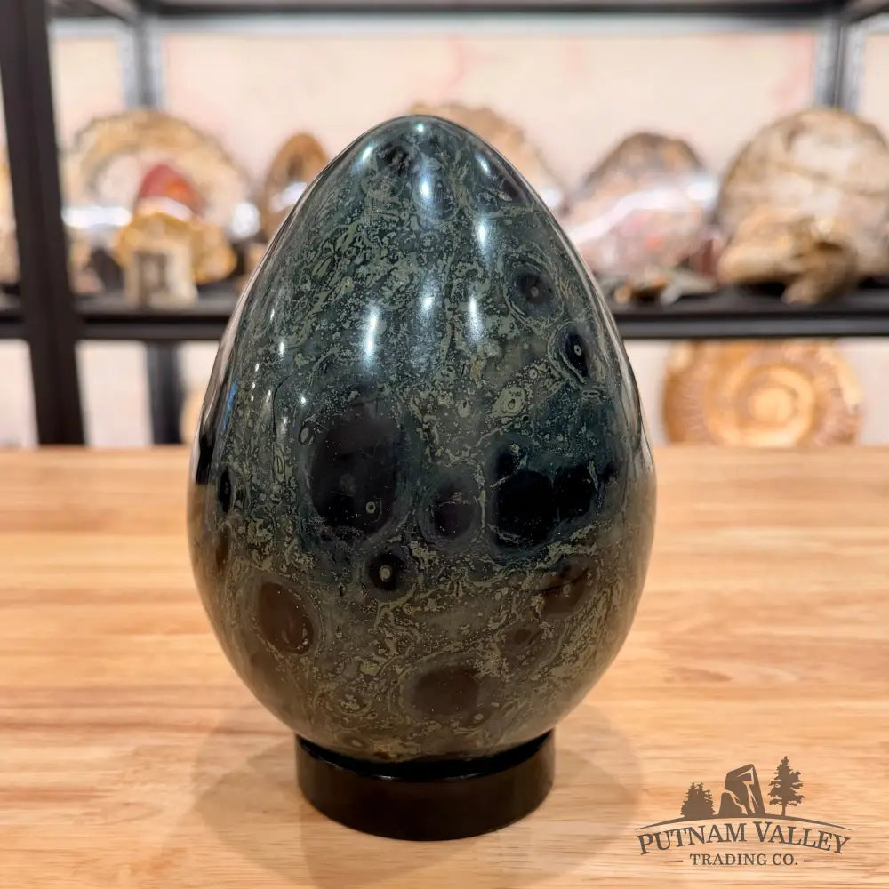 Kambaba Jasper Egg 6.57’’ Egg