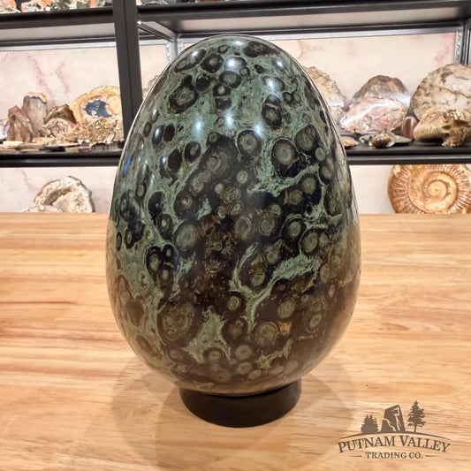 Kambaba Jasper Egg 7.42’’ Egg