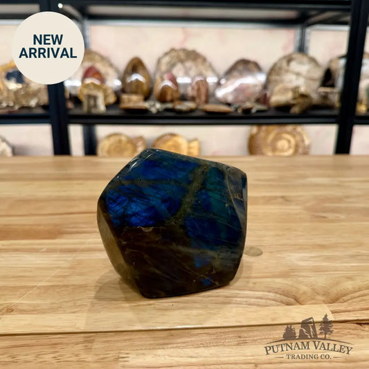 Labradorite Table Accent 5.94’’ Sculpture