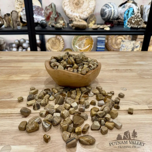 Landscape Jasper Tumbles (½ lb) | South Africa - Tumbled Stone