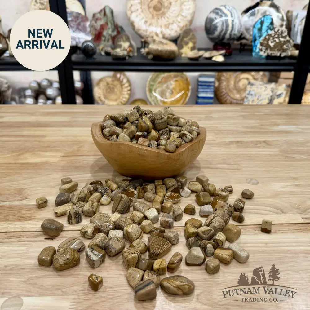 Landscape Jasper Tumbles (½ lb) | South Africa - Tumbled Stone