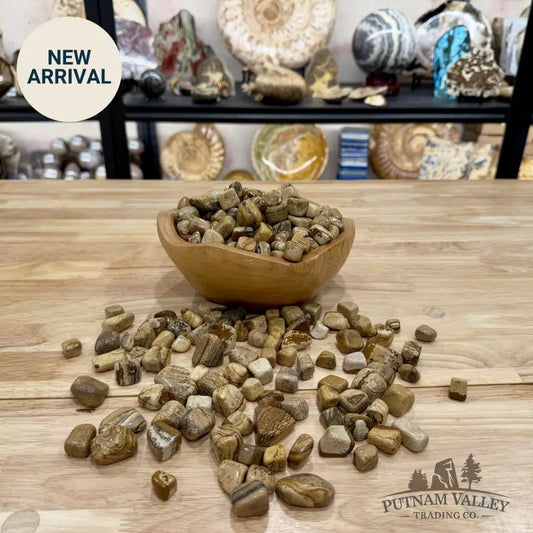 Landscape Jasper Tumbles (½ lb) | South Africa - Tumbled Stone