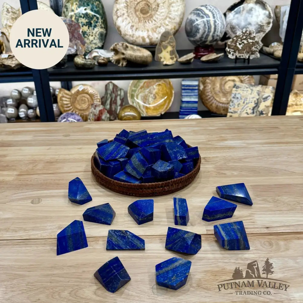 Lapis Lazuli Polished Freeforms (1 lb), UV Reactive Glow - Tumbled Stone