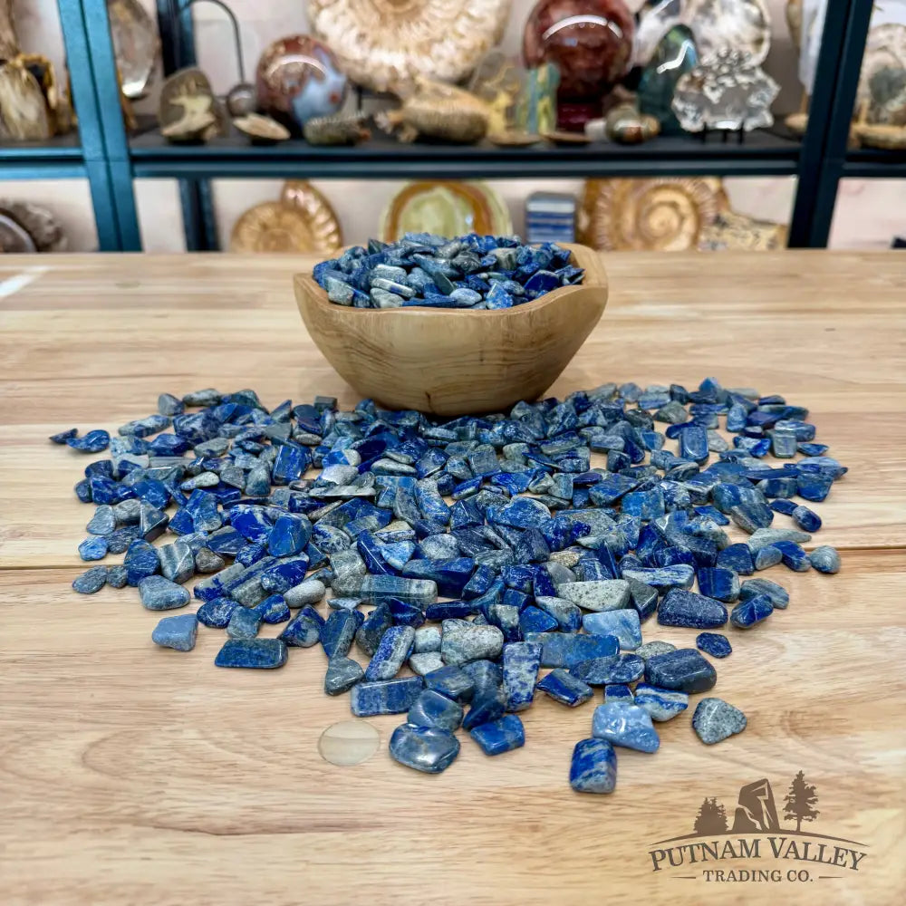 Tumbled Lapis Lazuli (½ lb) | Freeform, UV Reactive Glow - Tumbled Stone