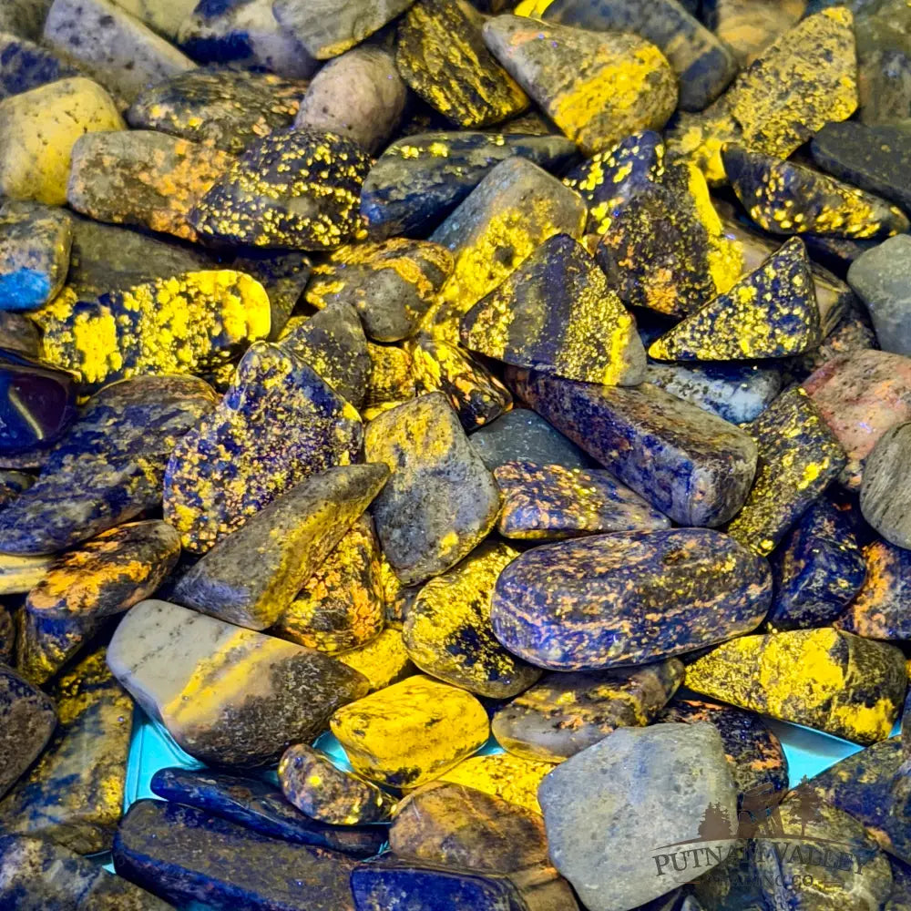Tumbled Lapis Lazuli (½ lb) | Freeform, UV Reactive Glow - Tumbled Stone