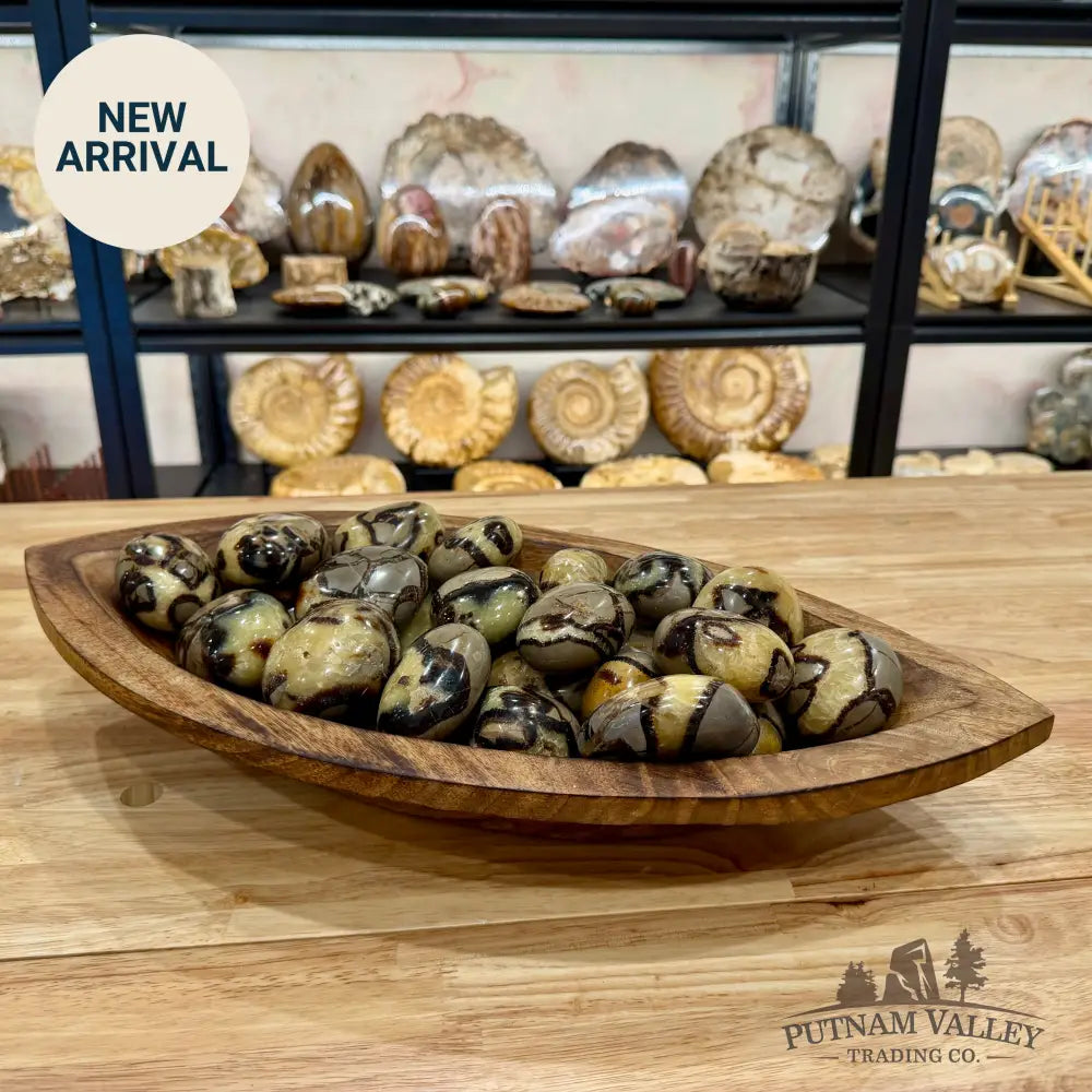 Madagascar Septarian Hand-Polished Stones Sphere