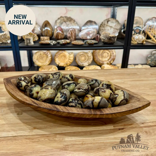 Madagascar Septarian Hand-Polished Stones Sphere