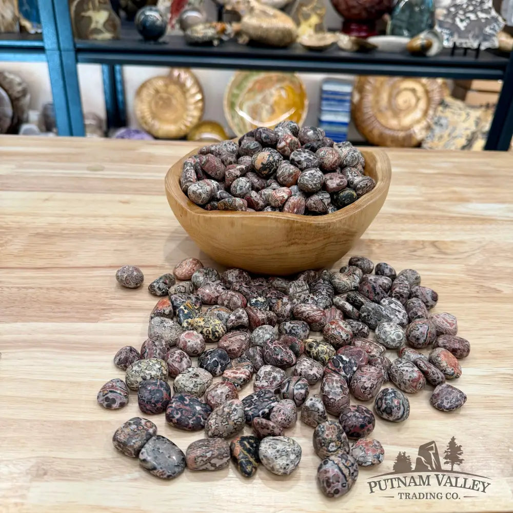 Leopard Skin Jasper Tumbles (½ lb) - Tumbled Stone
