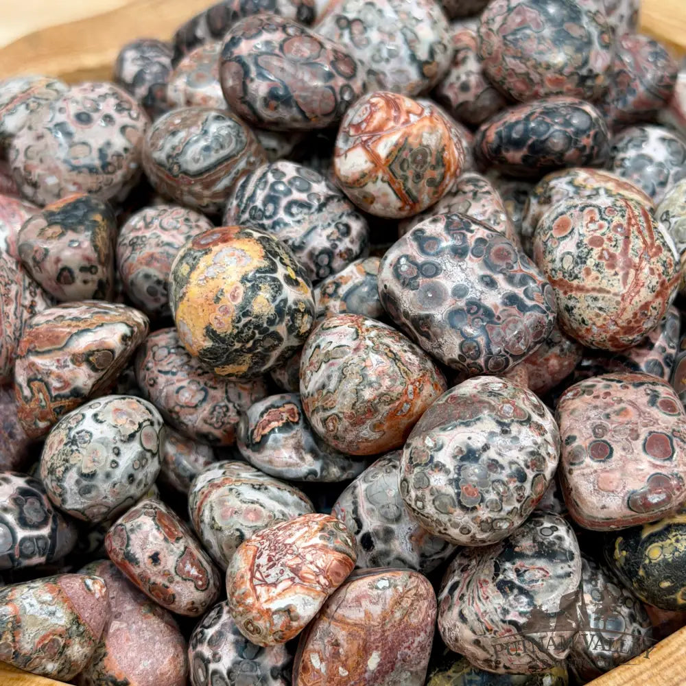 Leopard Skin Jasper Tumbles (½ lb) - Tumbled Stone