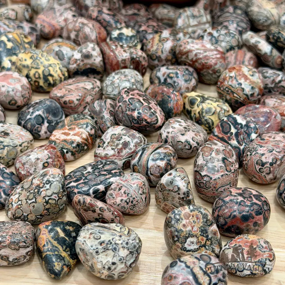 Leopard Skin Jasper Tumbles (½ lb) - Tumbled Stone