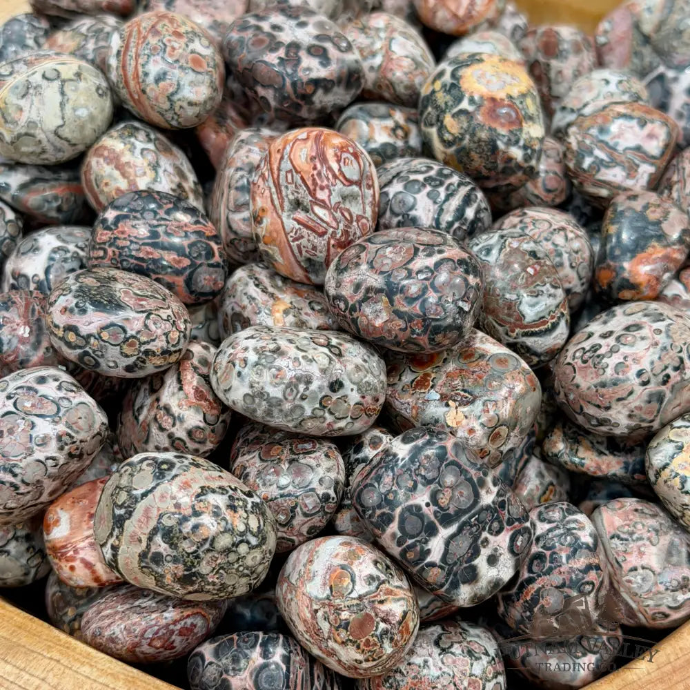 Leopard Skin Jasper Tumbles (½ lb) - Tumbled Stone