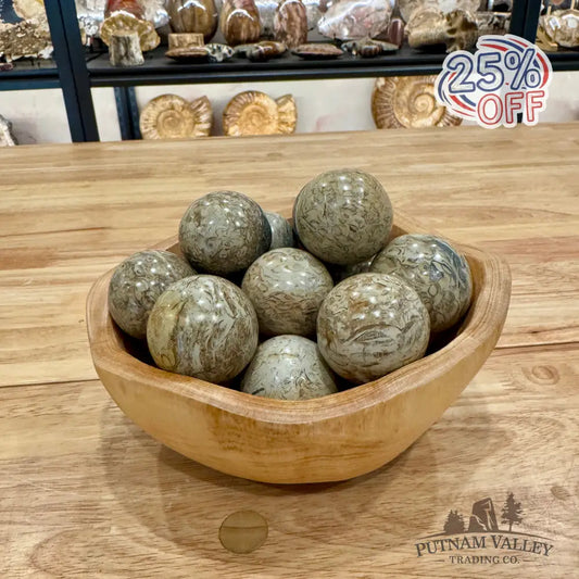 Madagascar Fossil Jasper Spheres Sphere