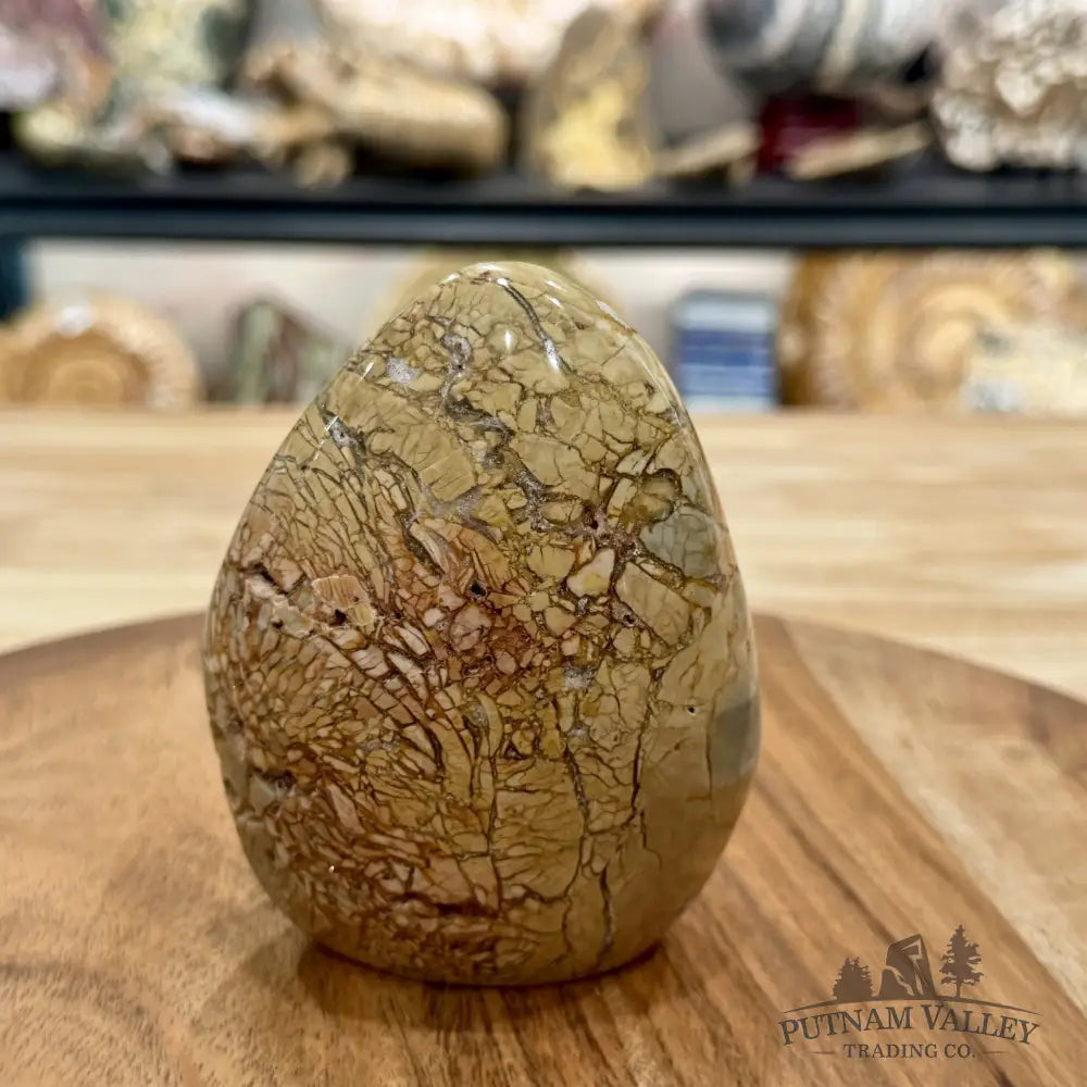Madagascar Ibis Jasper Table Accent 4.06’’ - Free Standing Accent