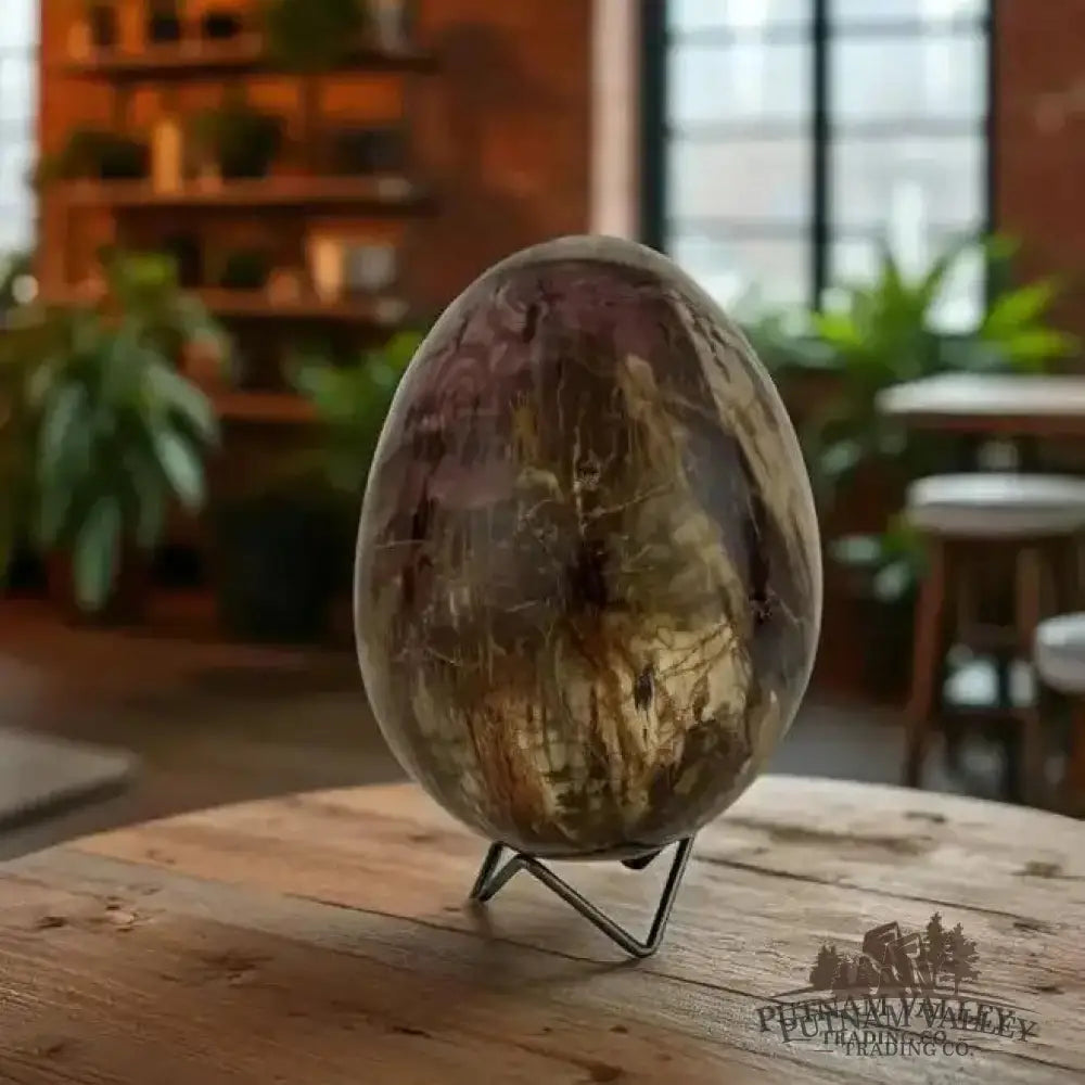 Madagascar Petrified Wood Egg 6.8’’ - Egg
