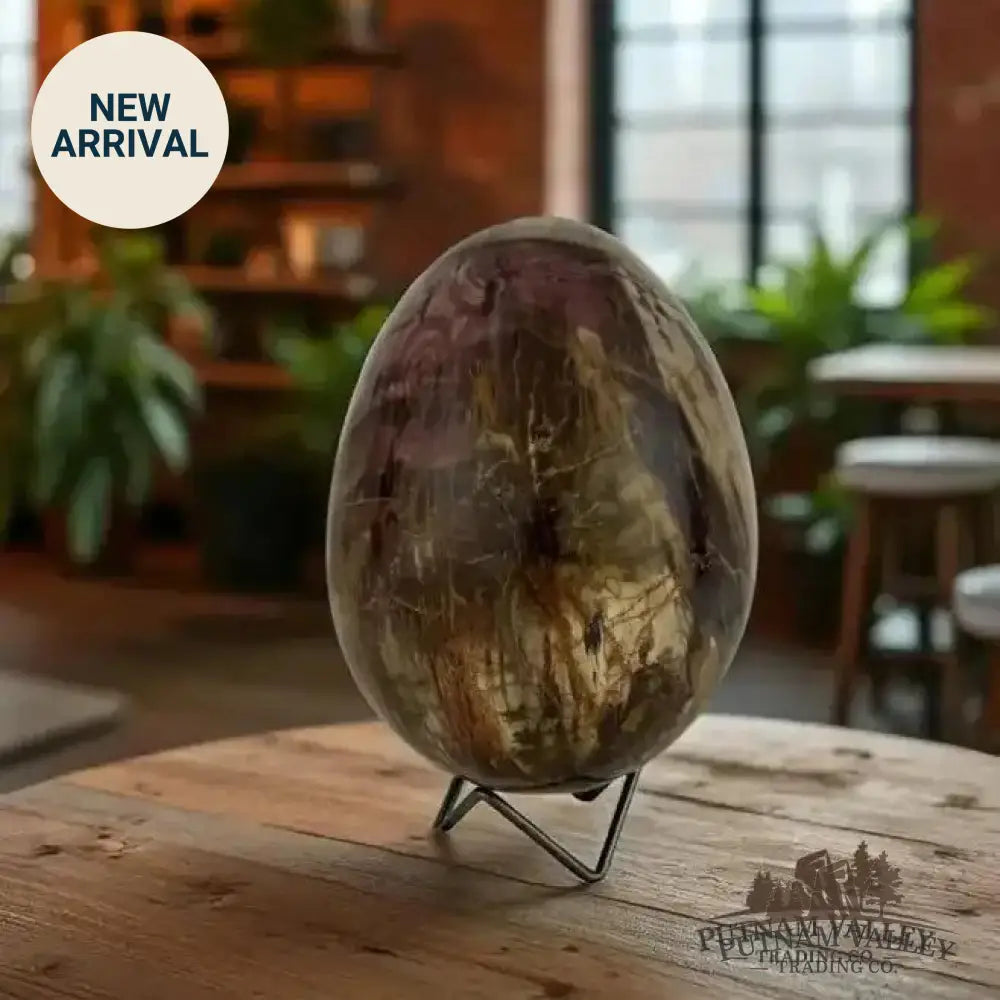 Madagascar Petrified Wood Egg 6.8’’ - Egg