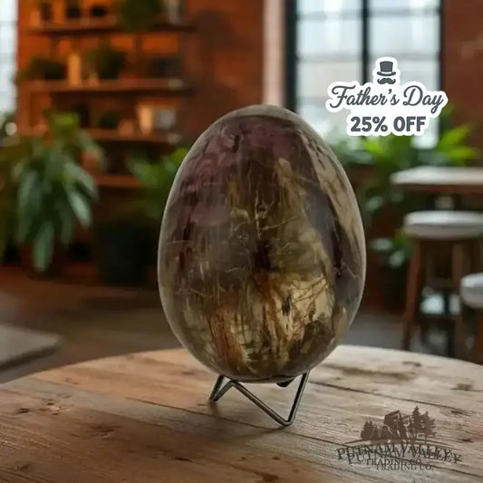 Madagascar Petrified Wood Egg 6.8’’ - Egg