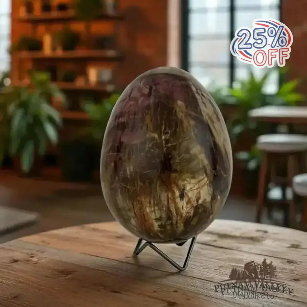 Madagascar Petrified Wood Egg 6.8’’ - Egg