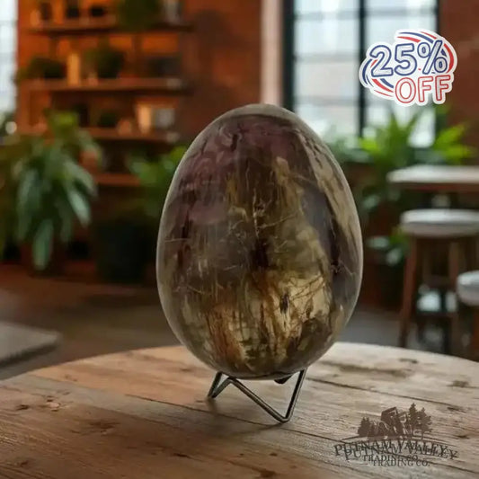 Madagascar Petrified Wood Egg 6.8’’ - Egg