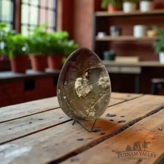 Madagascar Petrified Wood Egg 7.2’’ - Egg