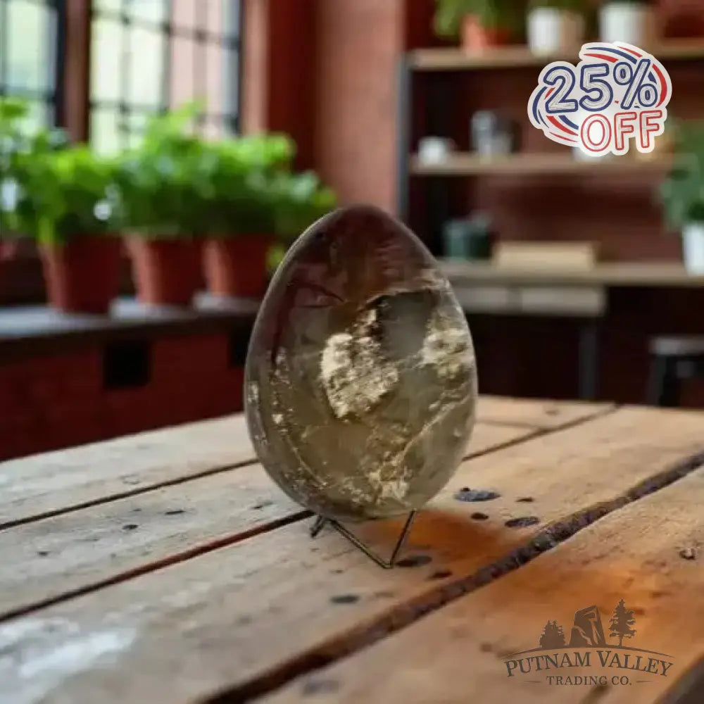 Madagascar Petrified Wood Egg 7.2’’ - Egg