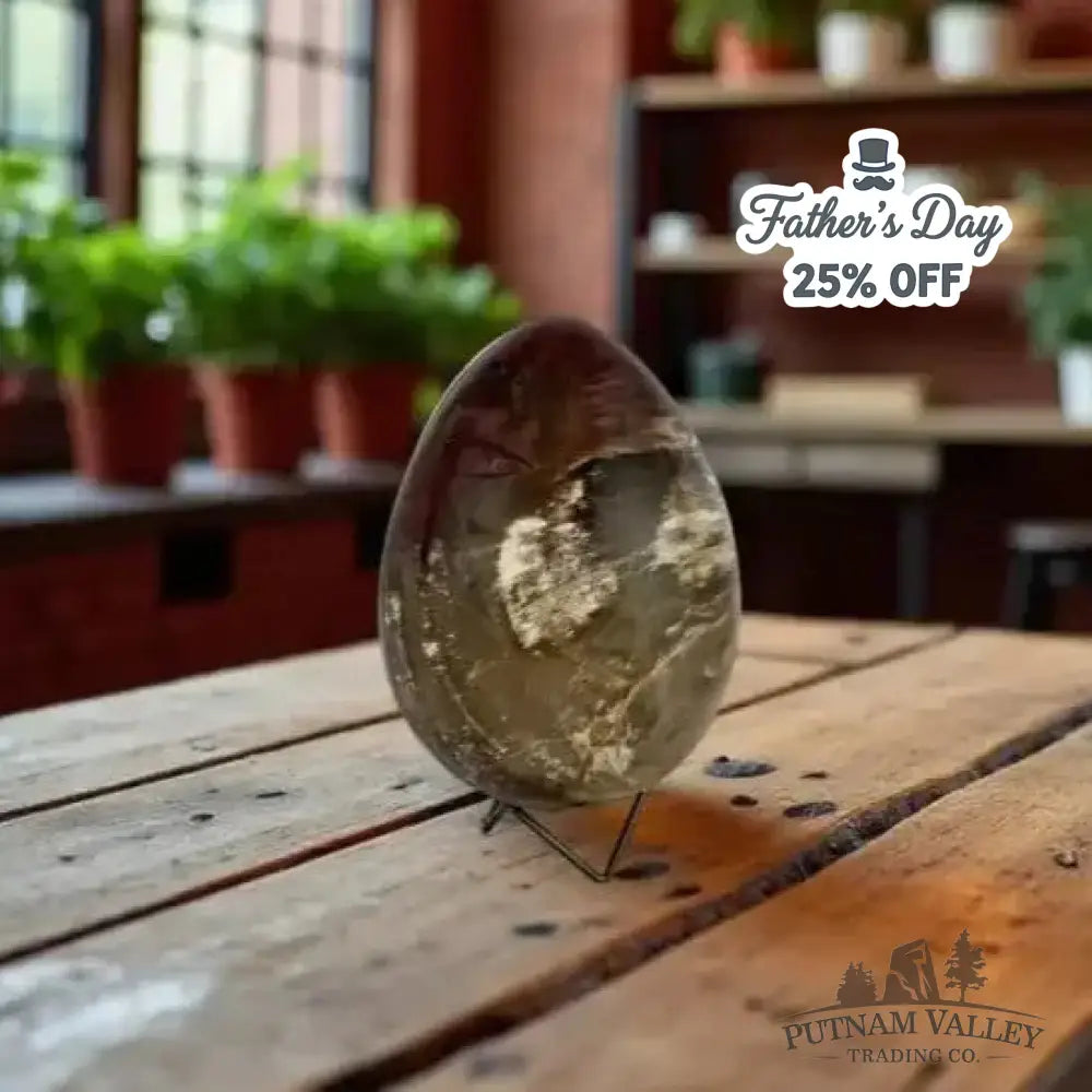 Madagascar Petrified Wood Egg 7.2’’ - Egg
